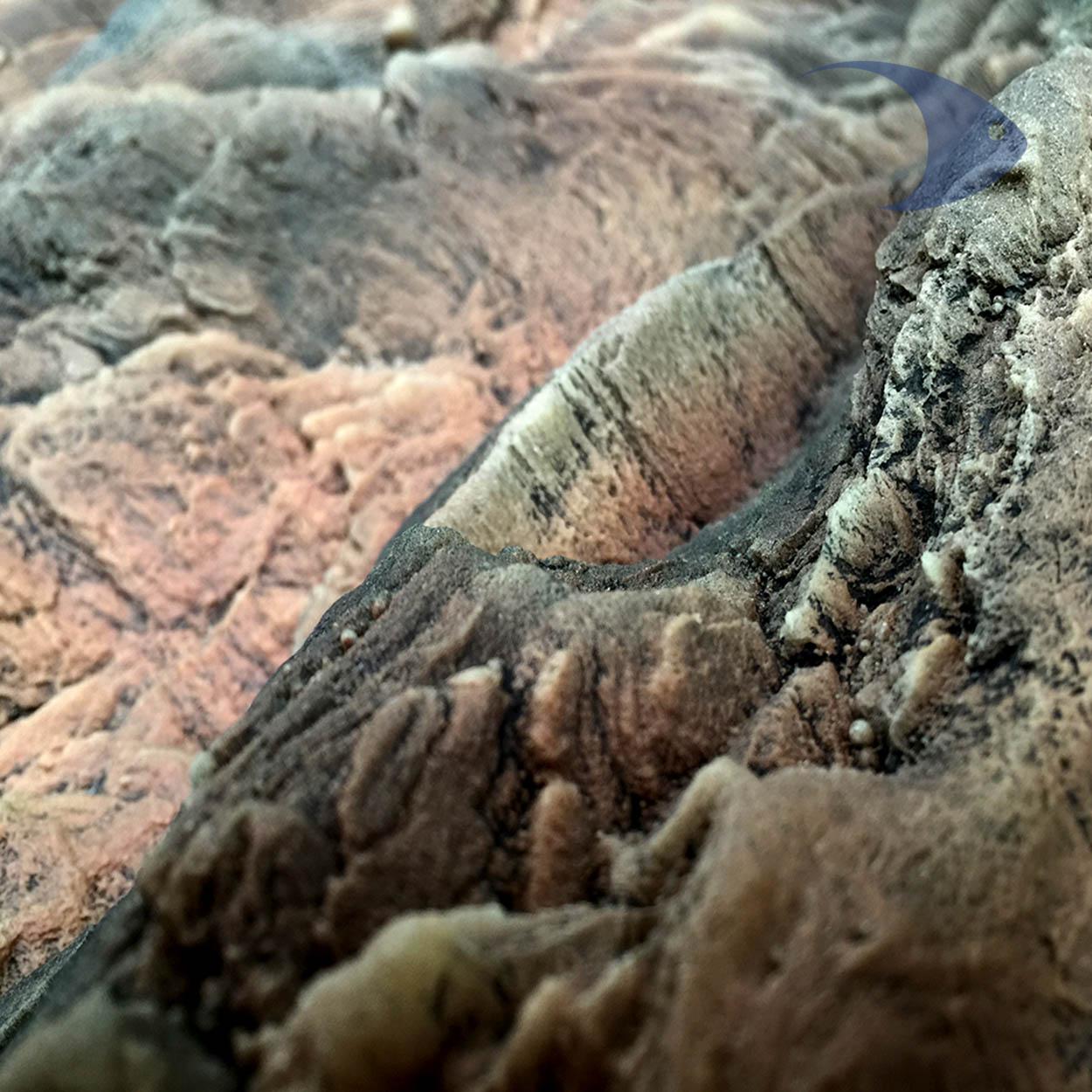 Fondo 3D Canyon Rock Café 2 Fondo 3D Canyon Rock Café - Imagen 2