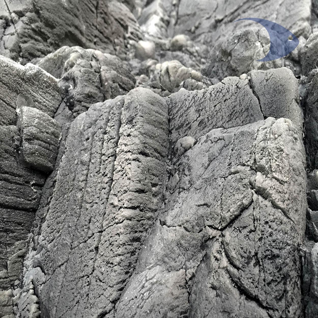 Fondo 3D Tanganyika Gris 4 Fondo 3D Tanganyika Gris - Imagen 4