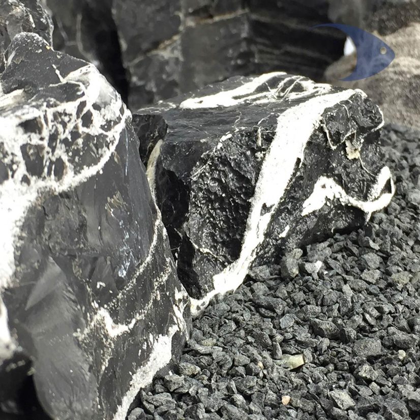 Rocas decorativas naturales Cebra Ideas Marinas Decoline