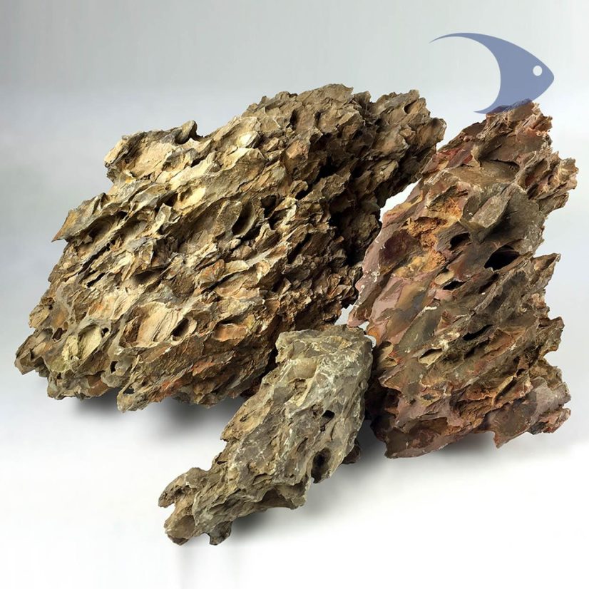 Rocas decorativas naturales Dragón Ideas Marinas