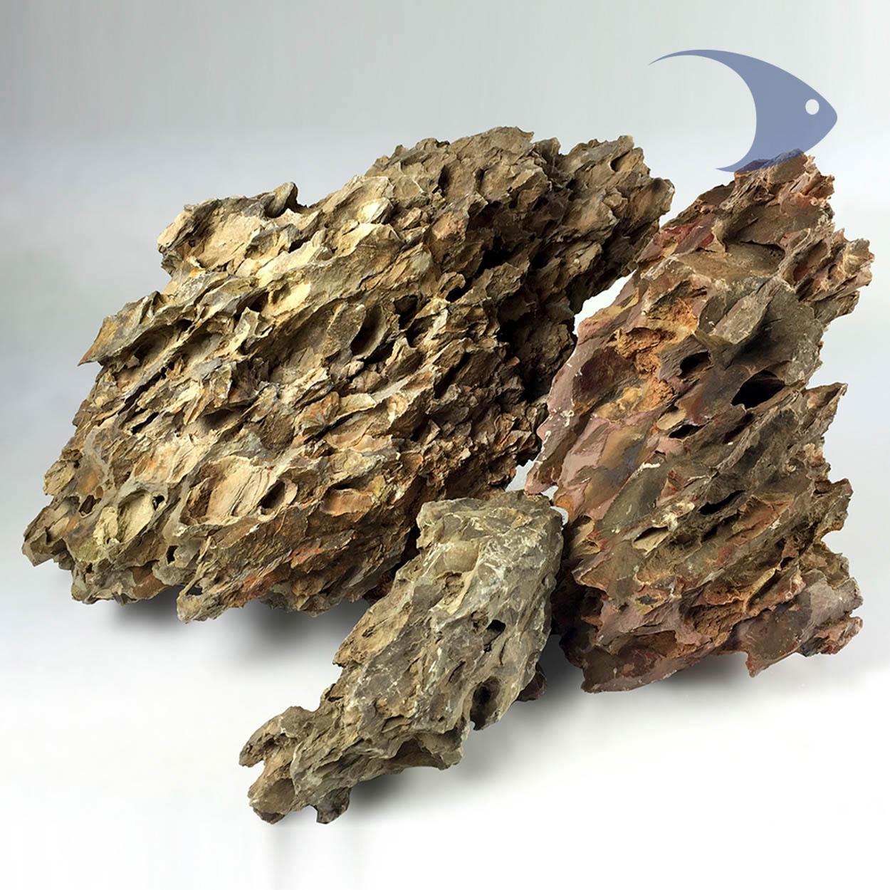 Rocas decorativas naturales Dragón 1 Rocas decorativas naturales Dragón Ideas Marinas