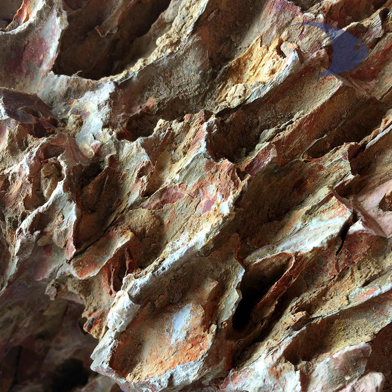 Rocas decorativas naturales Dragón 5 Rocas decorativas naturales Dragón - Imagen 5