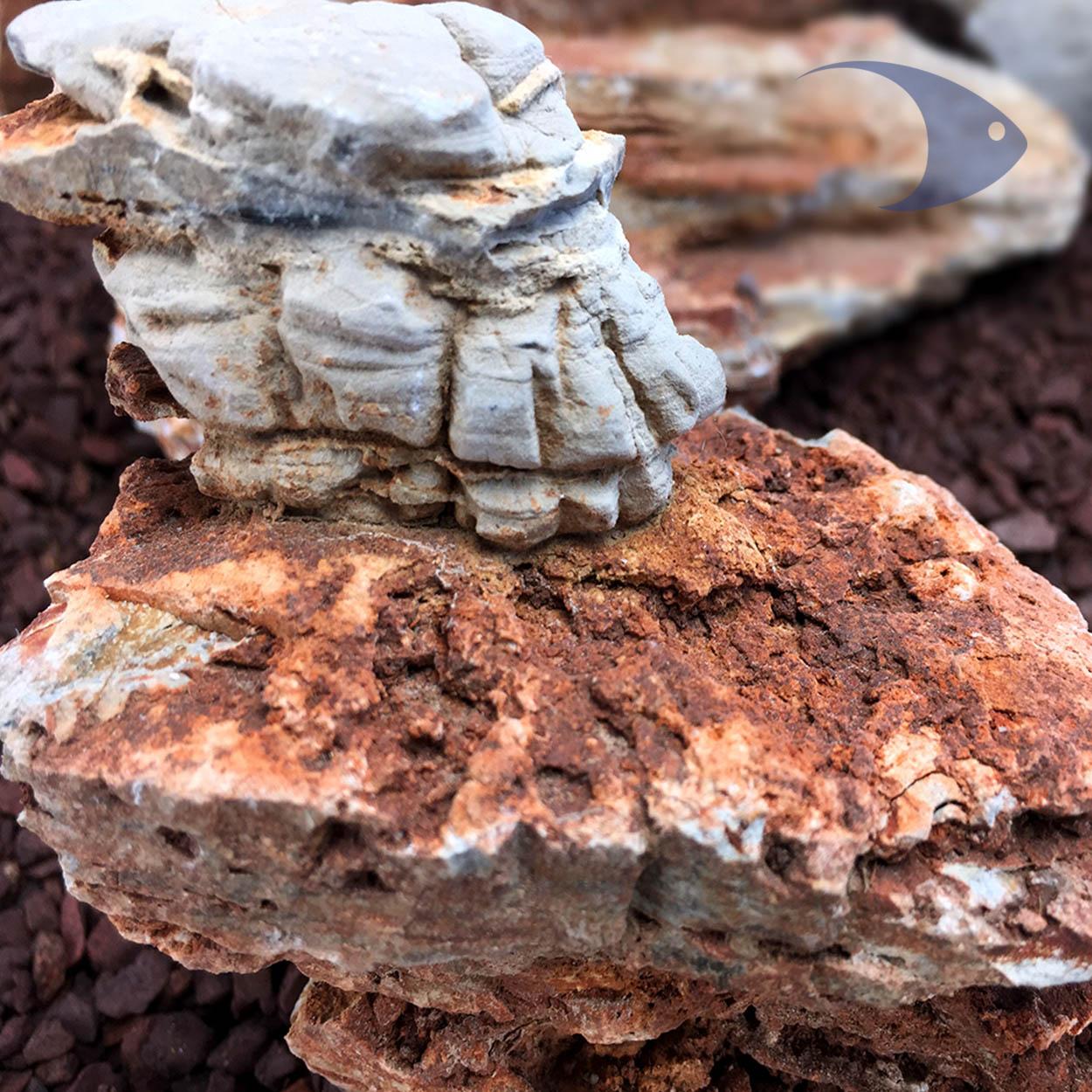 Rocas decorativas naturales Pagoda Ligera 3 Rocas decorativas naturales Pagoda Ligera - Imagen 3
