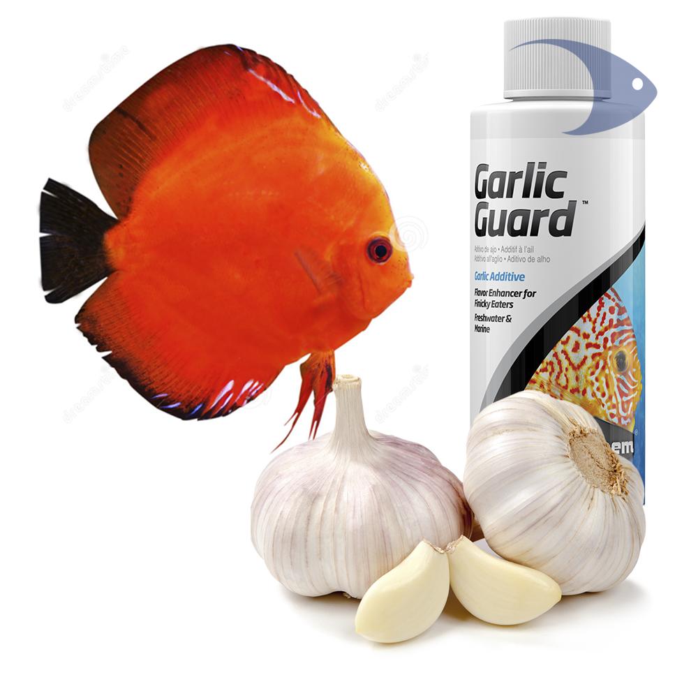 Garlic Guard 2 Garlic Guard - Imagen 2
