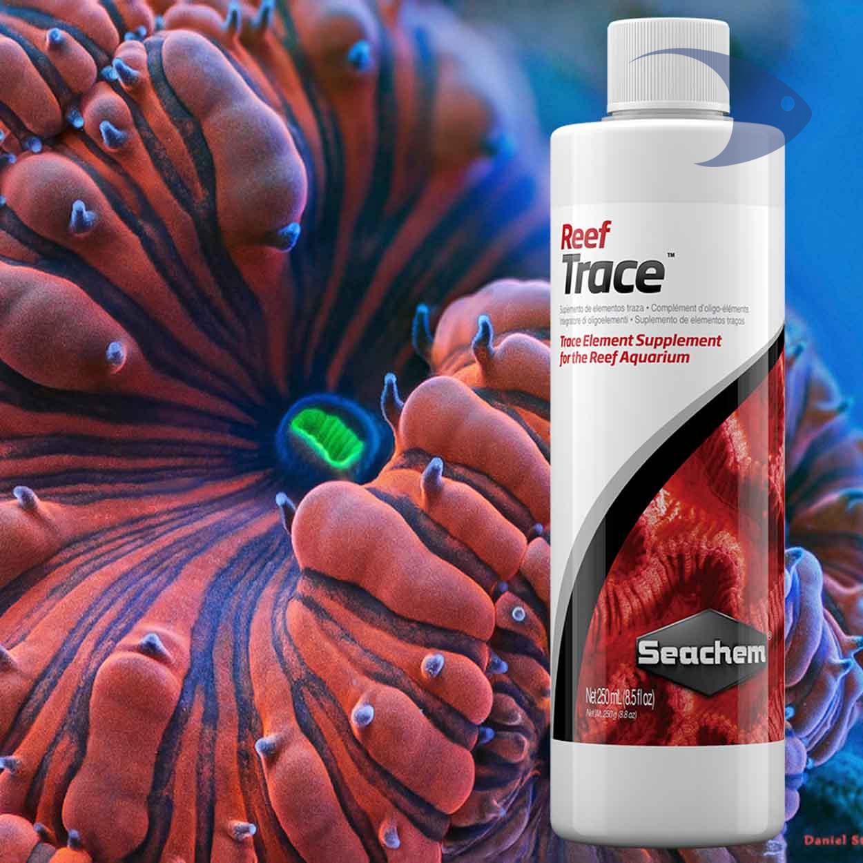 Reef Trace 5 Reef Trace - Imagen 5