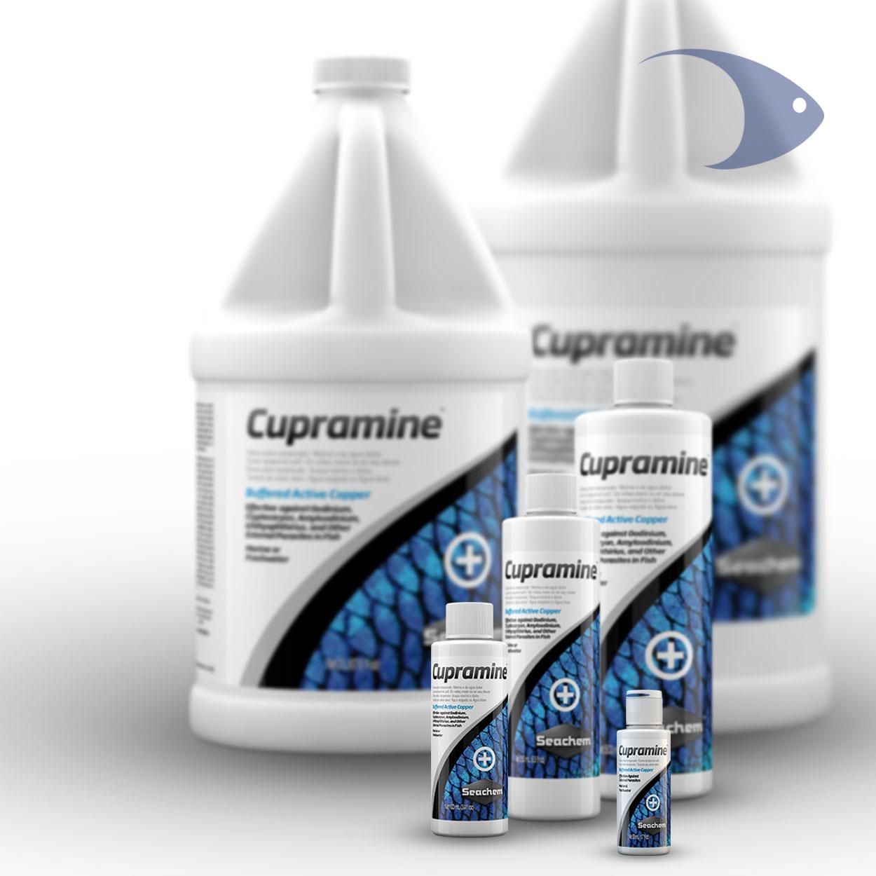Cupramine 7 Cupramine - Imagen 7