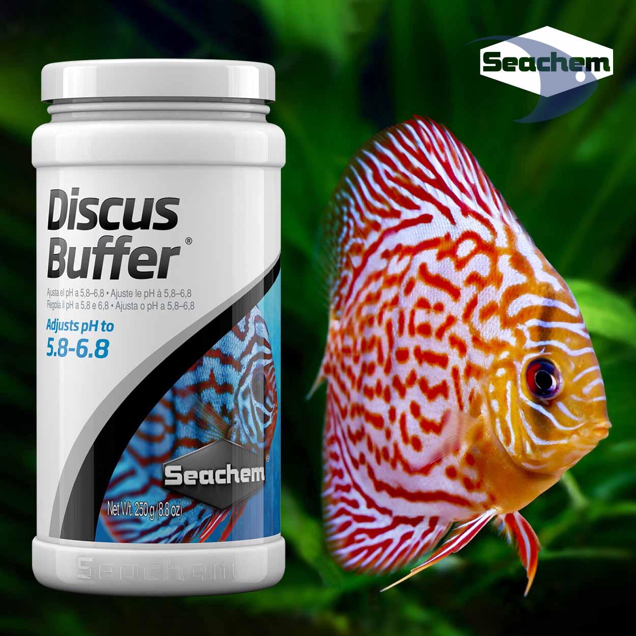 Discus Buffer 5 Discus Buffer - Imagen 5