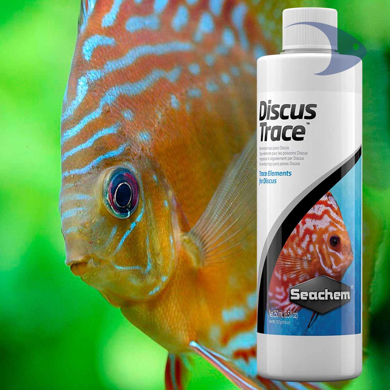 Discus Trace 4 Discus Trace - Imagen 4