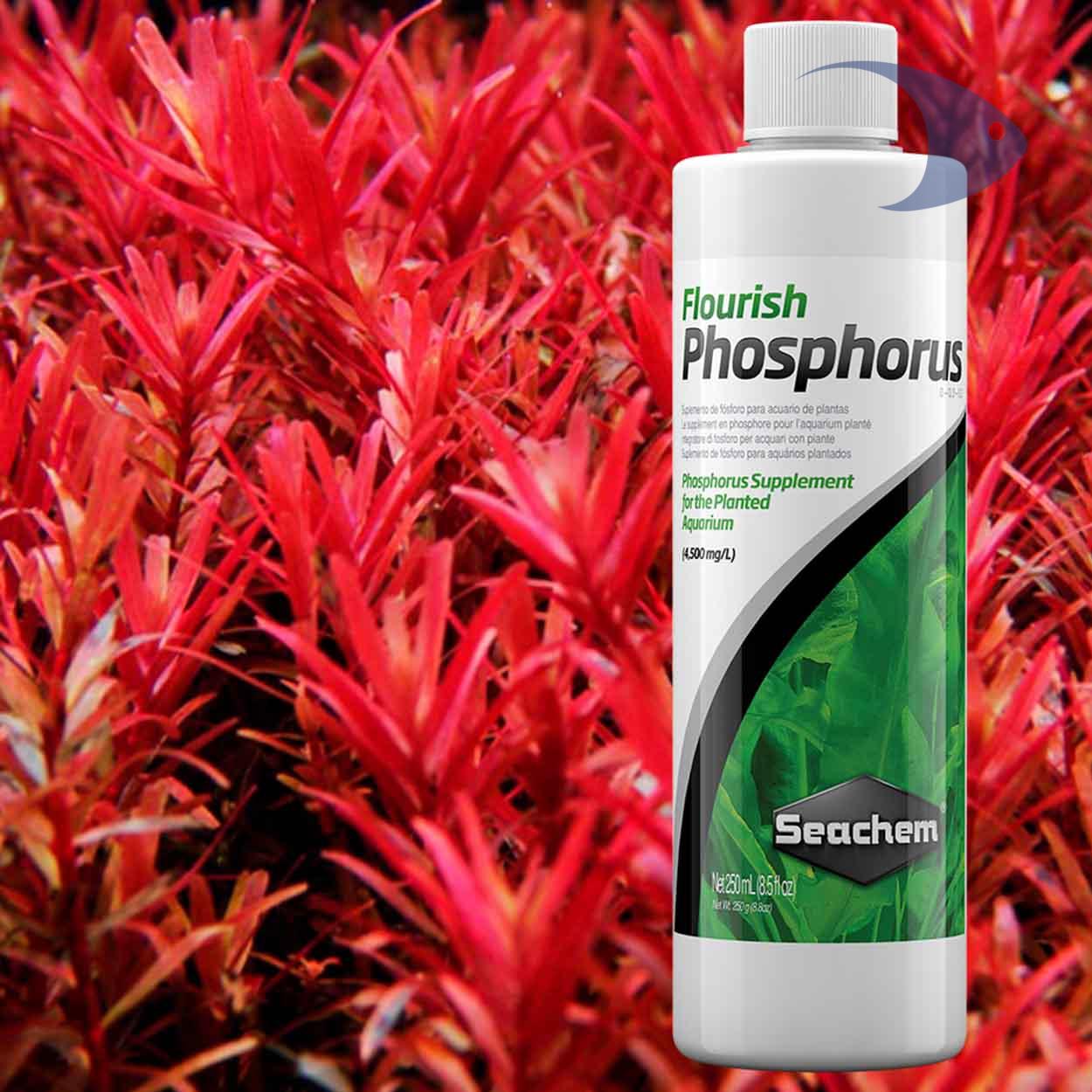 Flourish Phosphorus 5 Flourish Phosphorus - Imagen 5