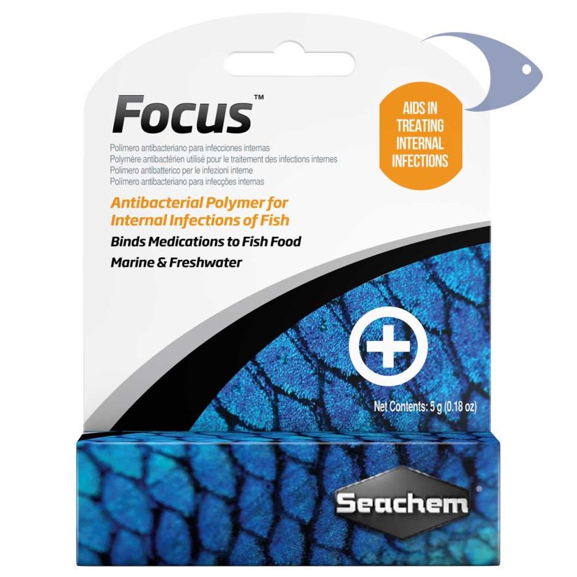Focus