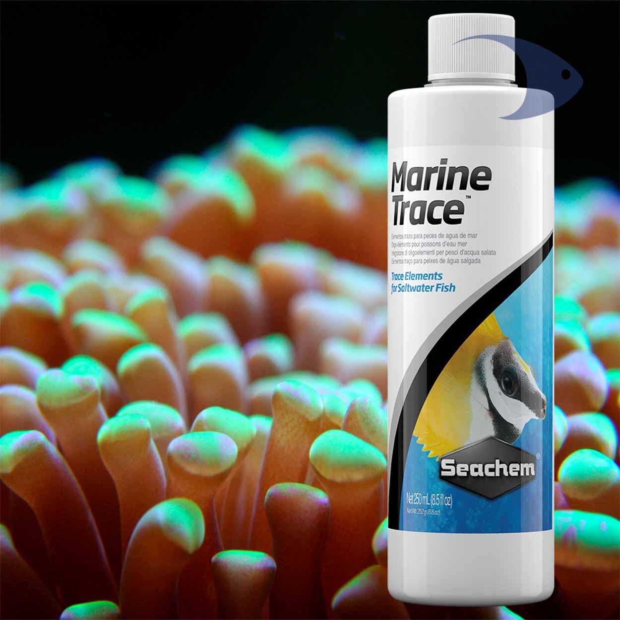 Marine Trace 2 Marine Trace - Imagen 2