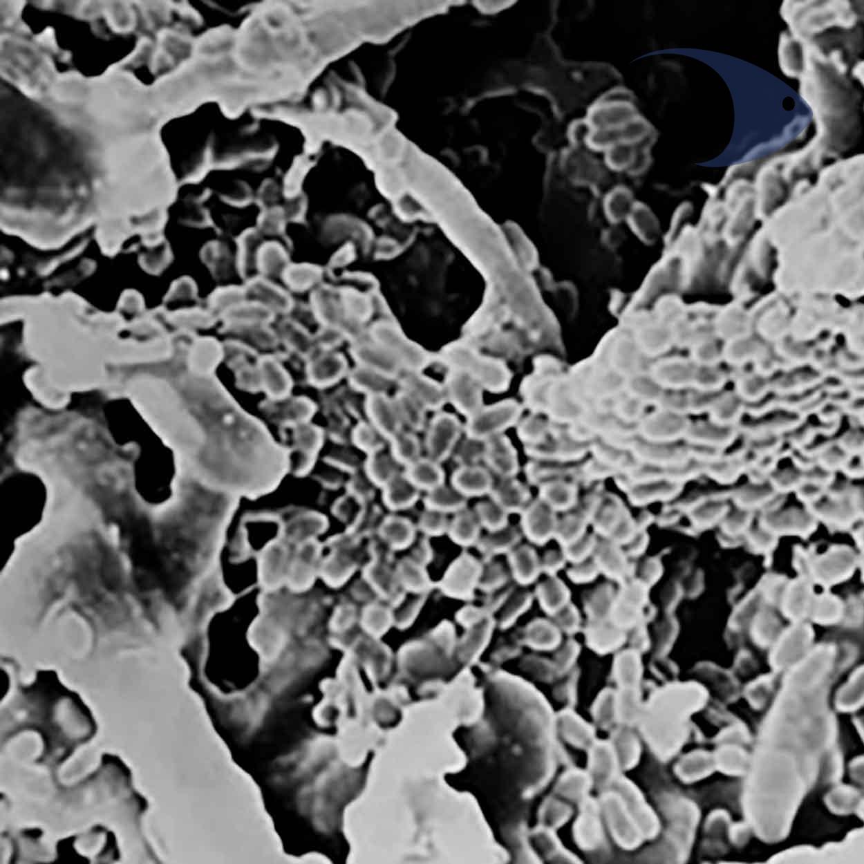 Matrix 8 Matrix - Imagen 8