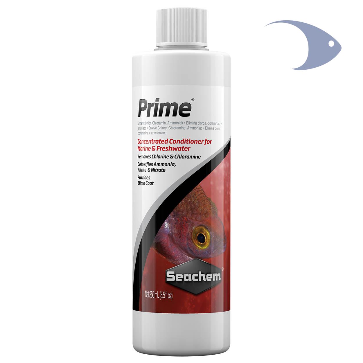 Prime 1 Prime