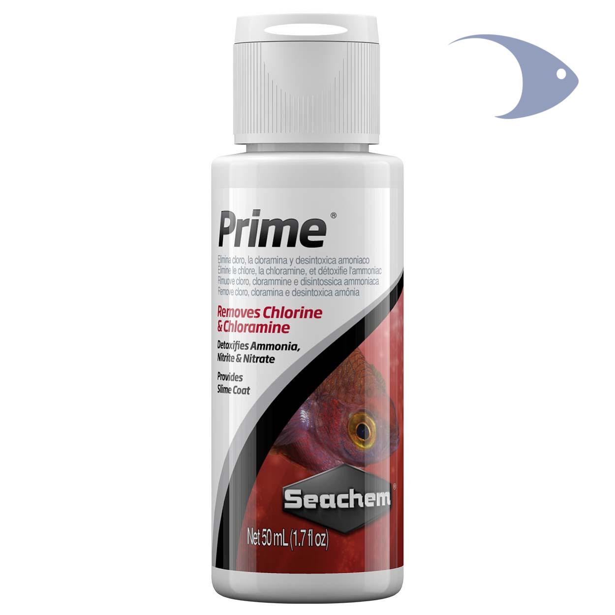 Prime 2 Prime - Imagen 2