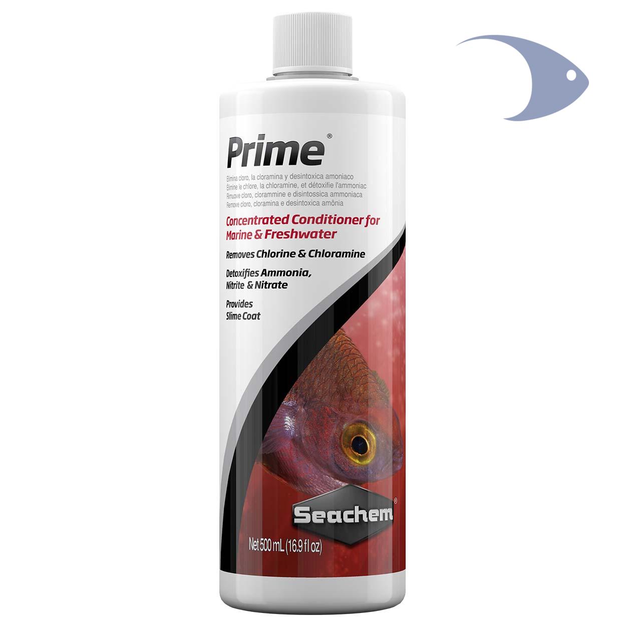 Prime 5 Prime - Imagen 5