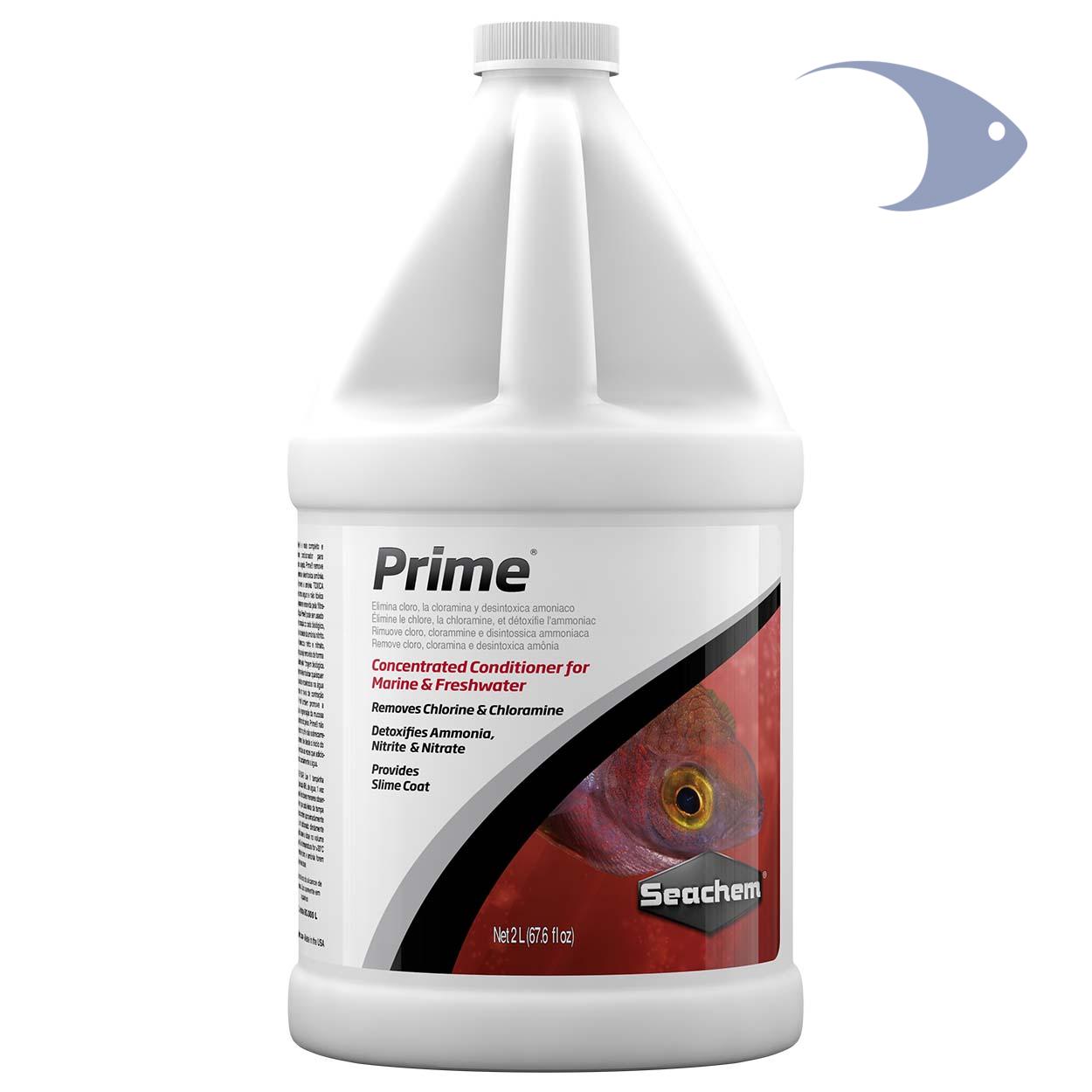 Prime 6 Prime - Imagen 6
