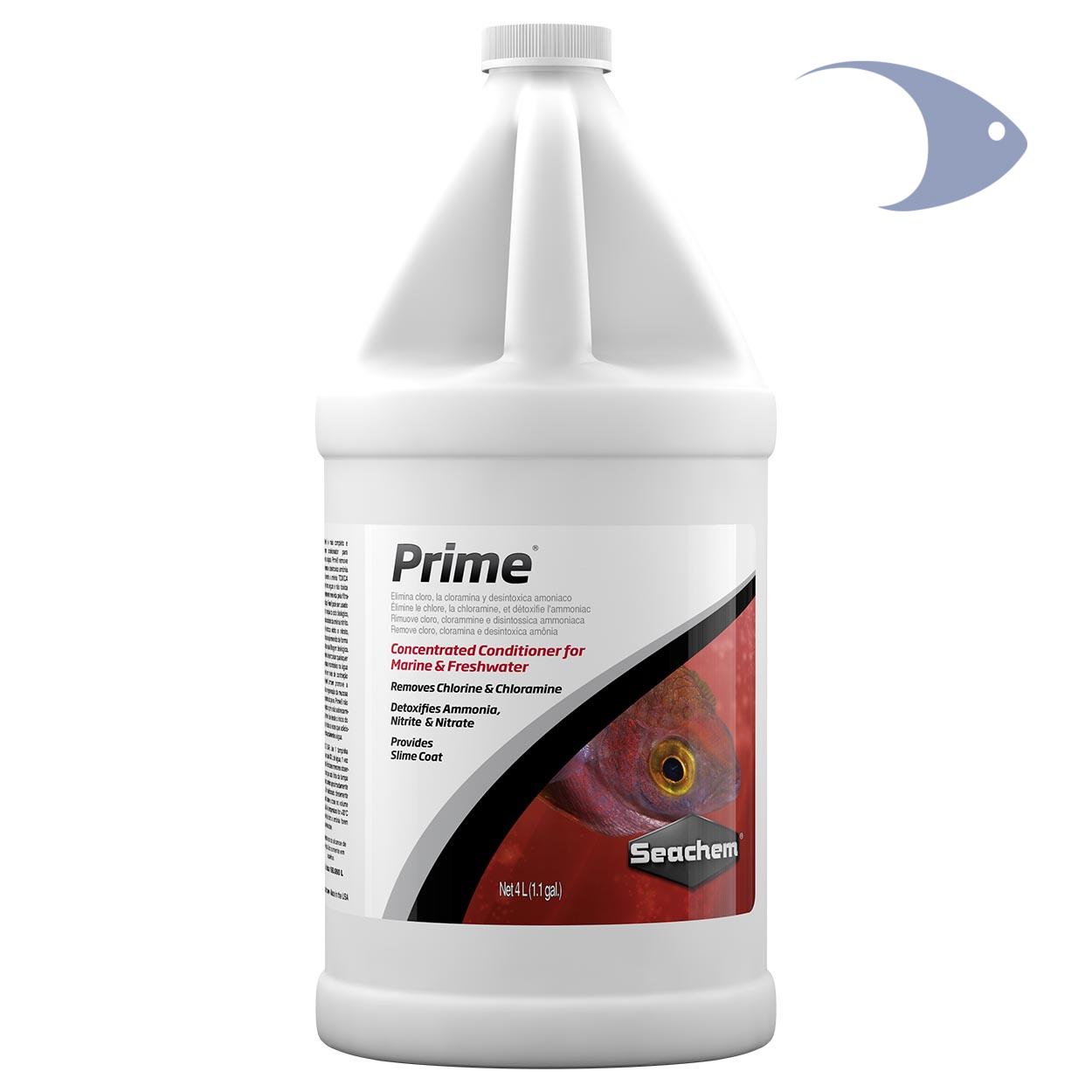 Prime 7 Prime - Imagen 7