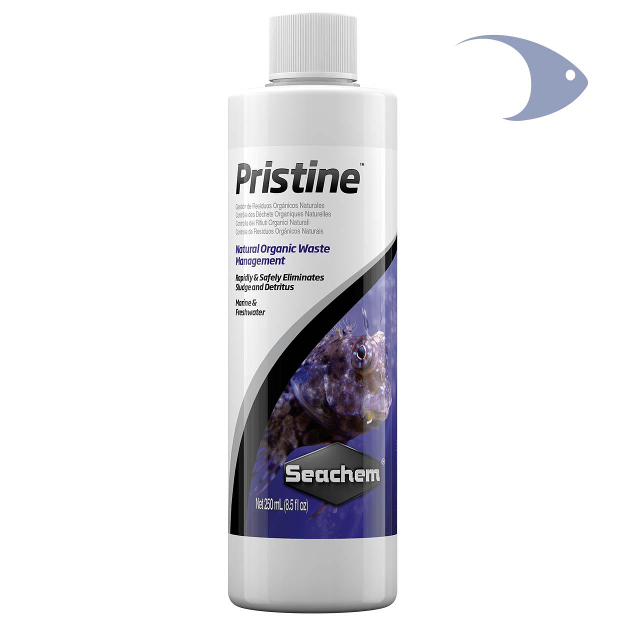 Pristine 1 Pristine