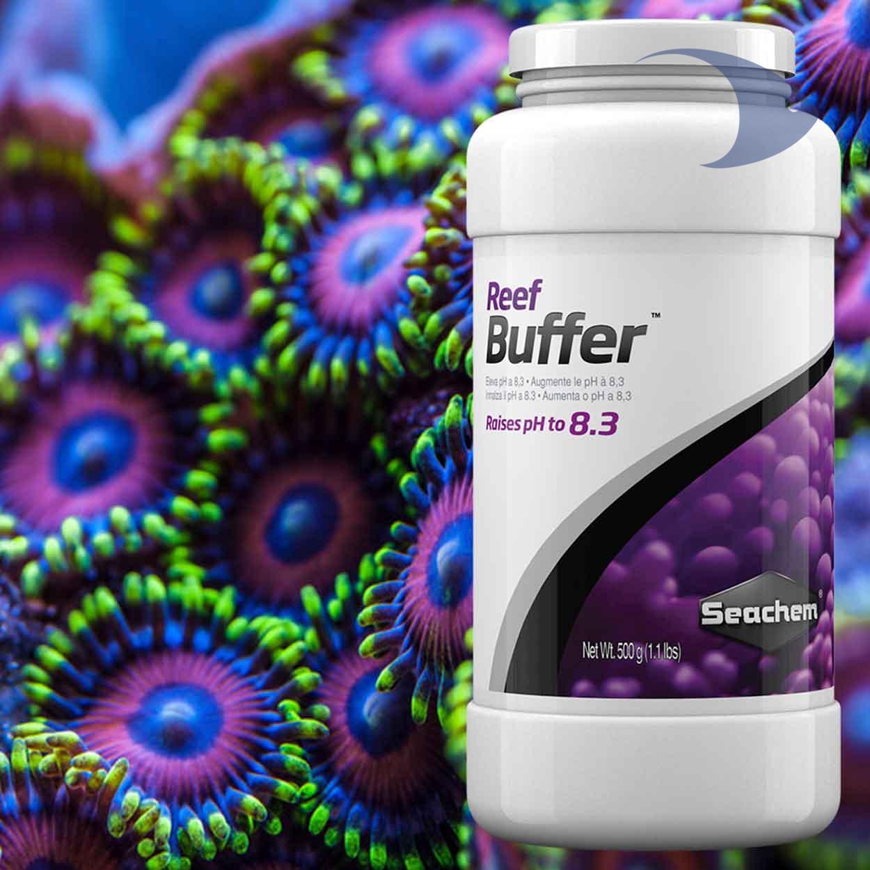Reef Buffer 3 Reef Buffer - Imagen 3