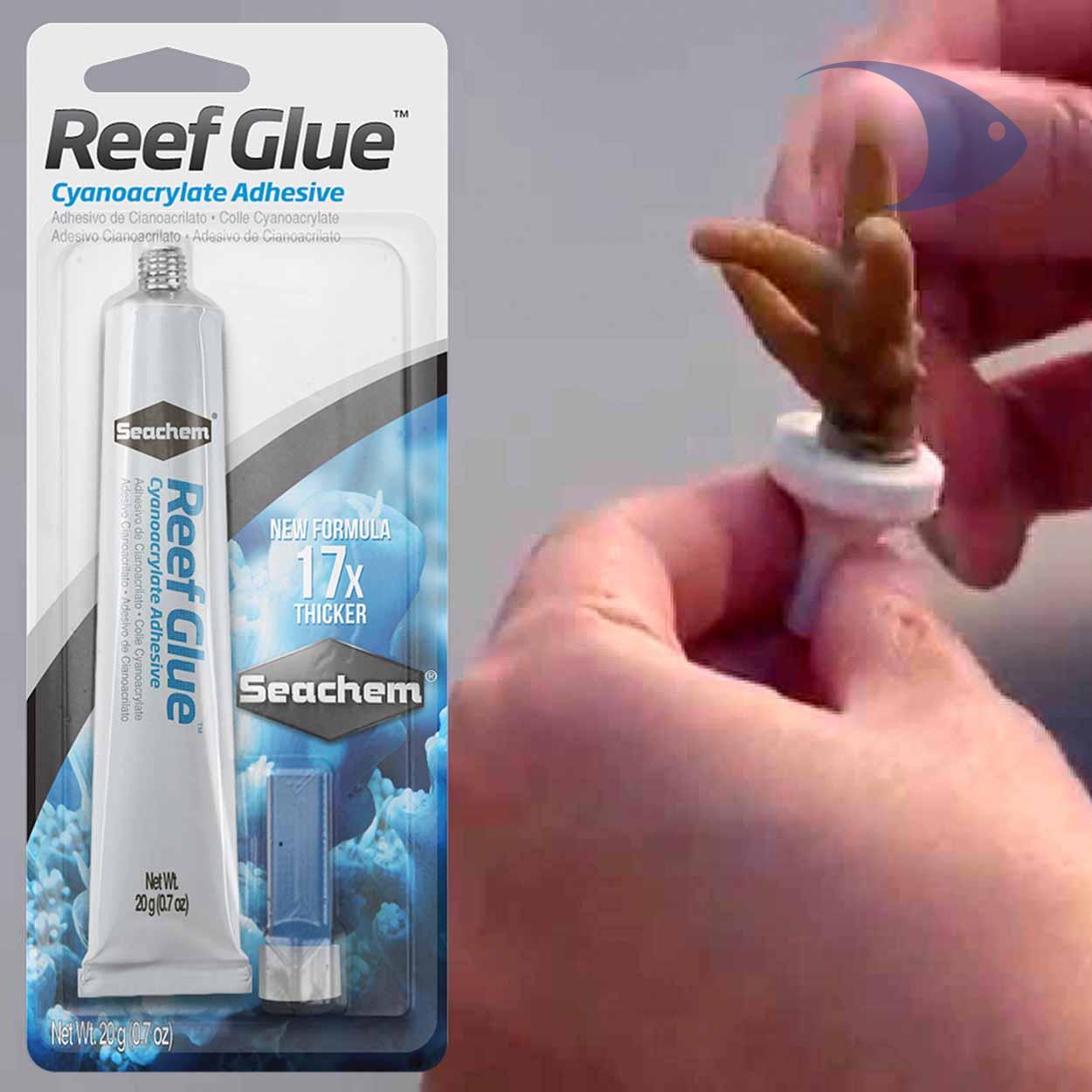 Reef Glue 4 Reef Glue - Imagen 4