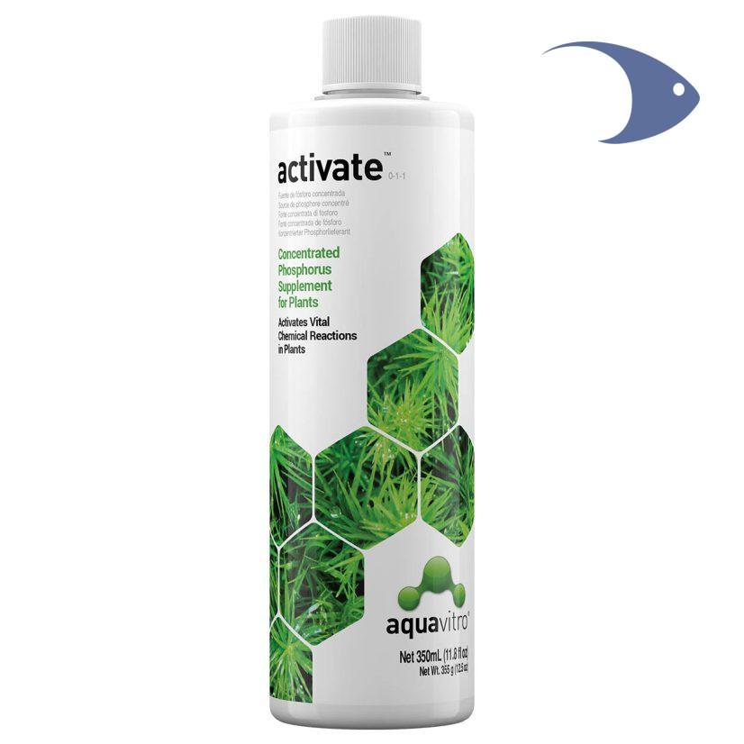 activate