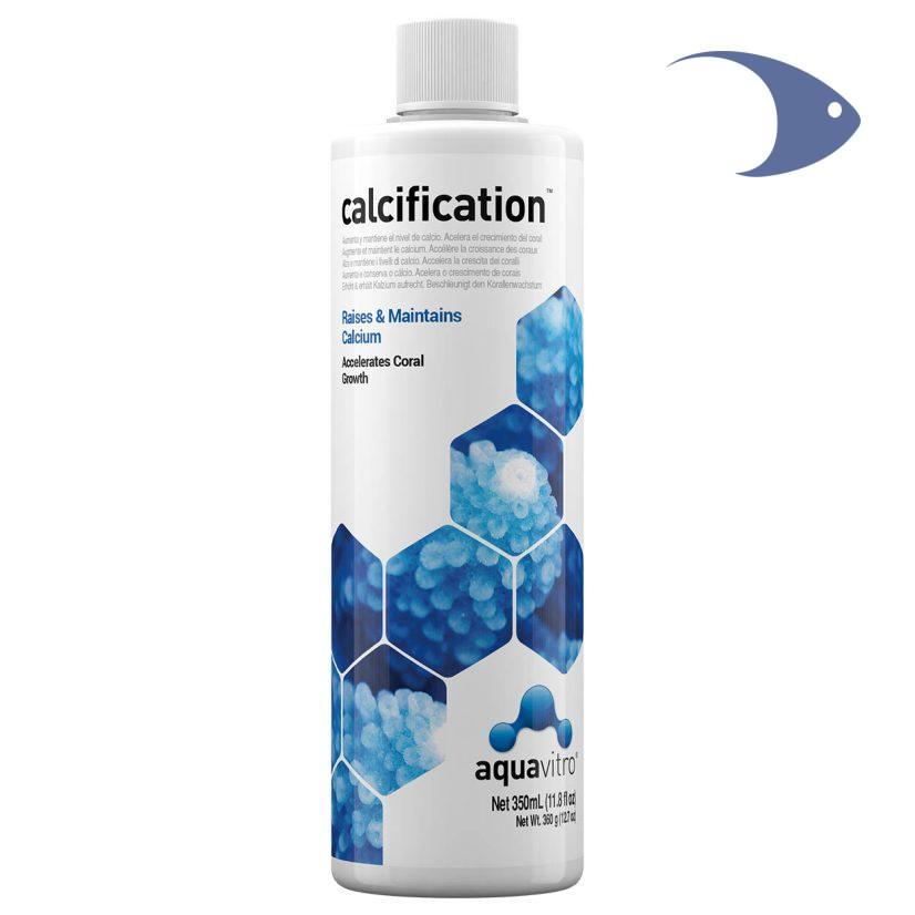 calcification