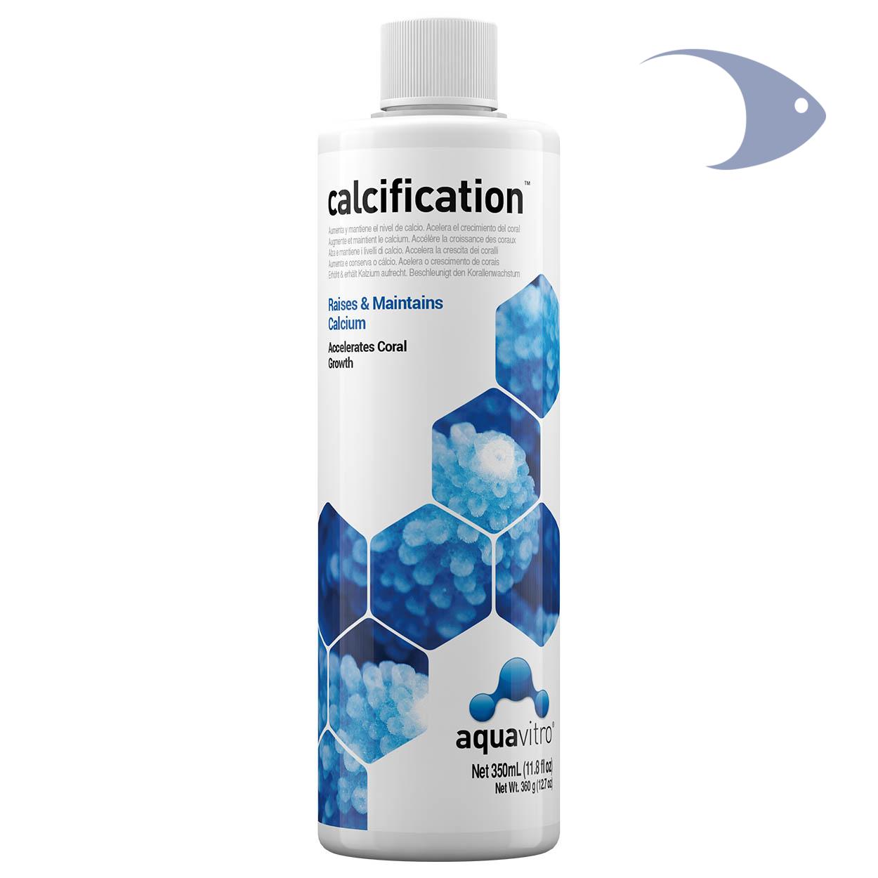 calcification 1 calcification