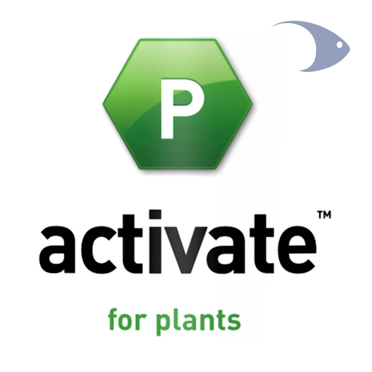 activate 2 activate - Imagen 2