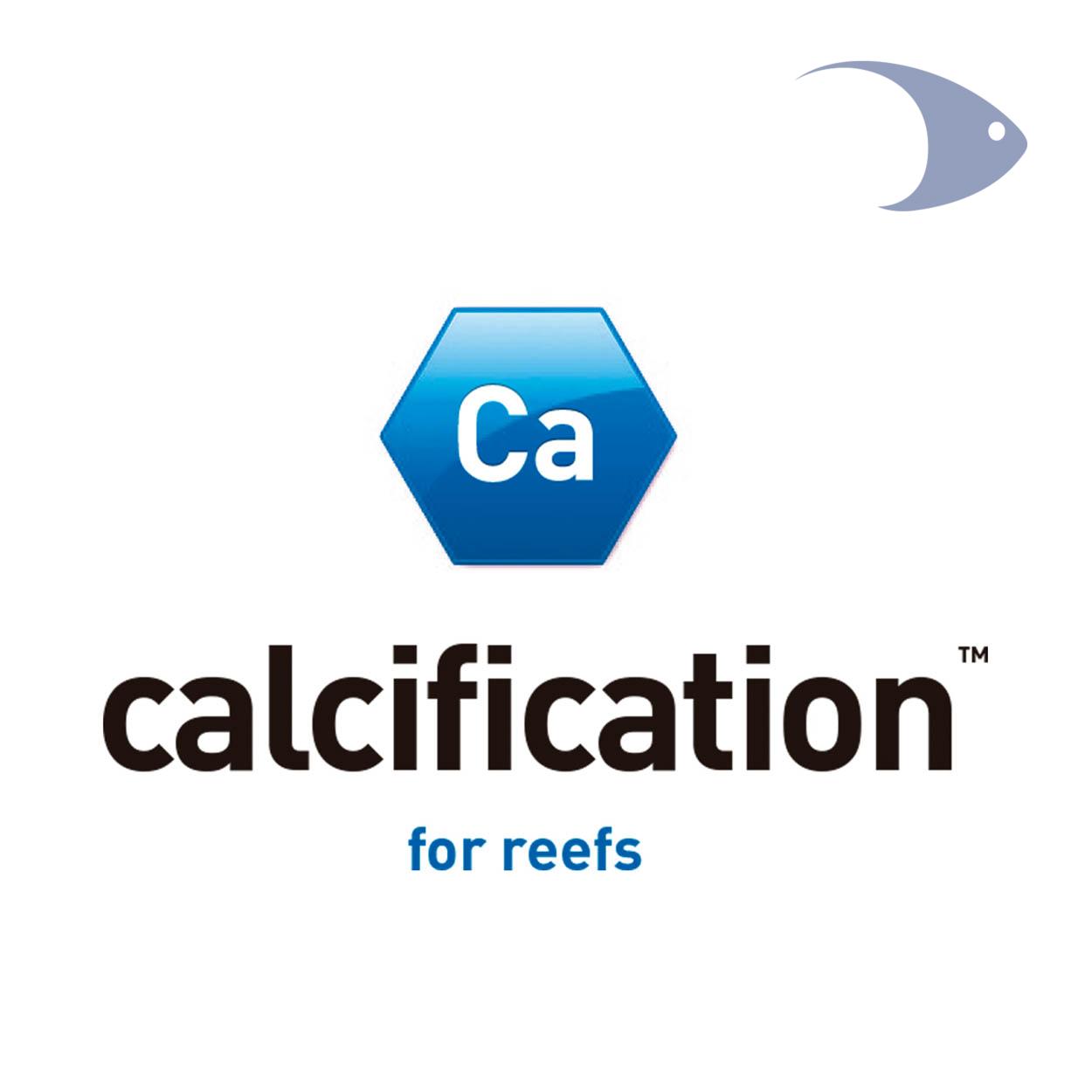 calcification 2 calcification - Imagen 2