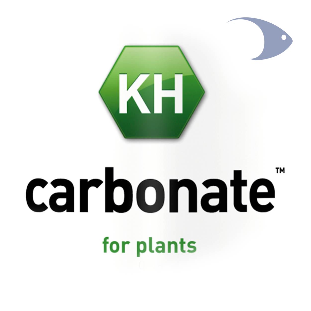 carbonate 2 carbonate - Imagen 2