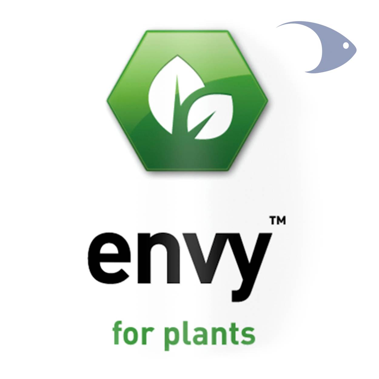 envy 2 envy - Imagen 2