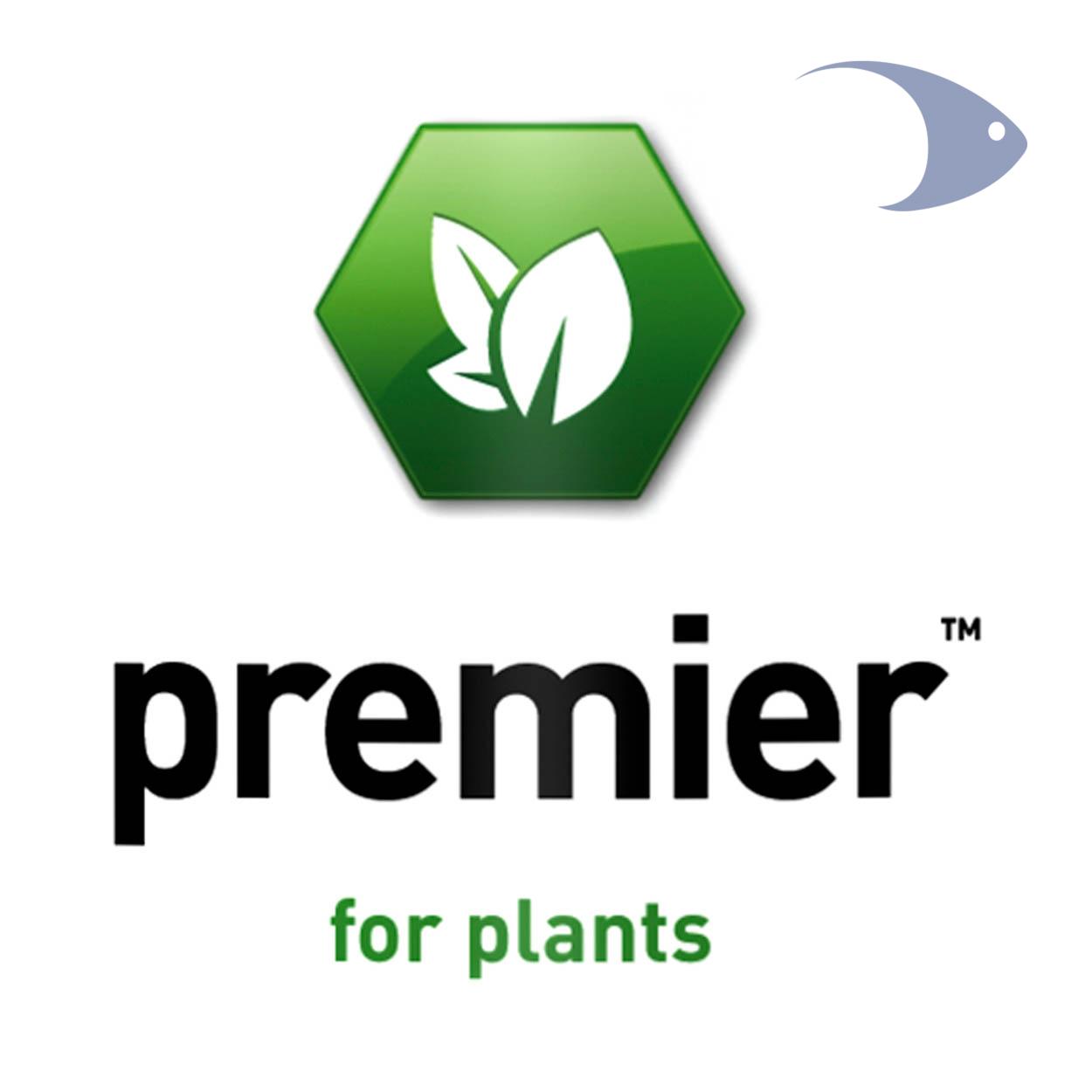 premier 2 premier - Imagen 2