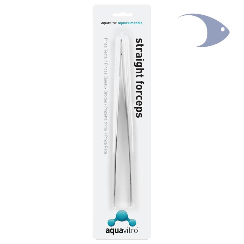 straight forceps