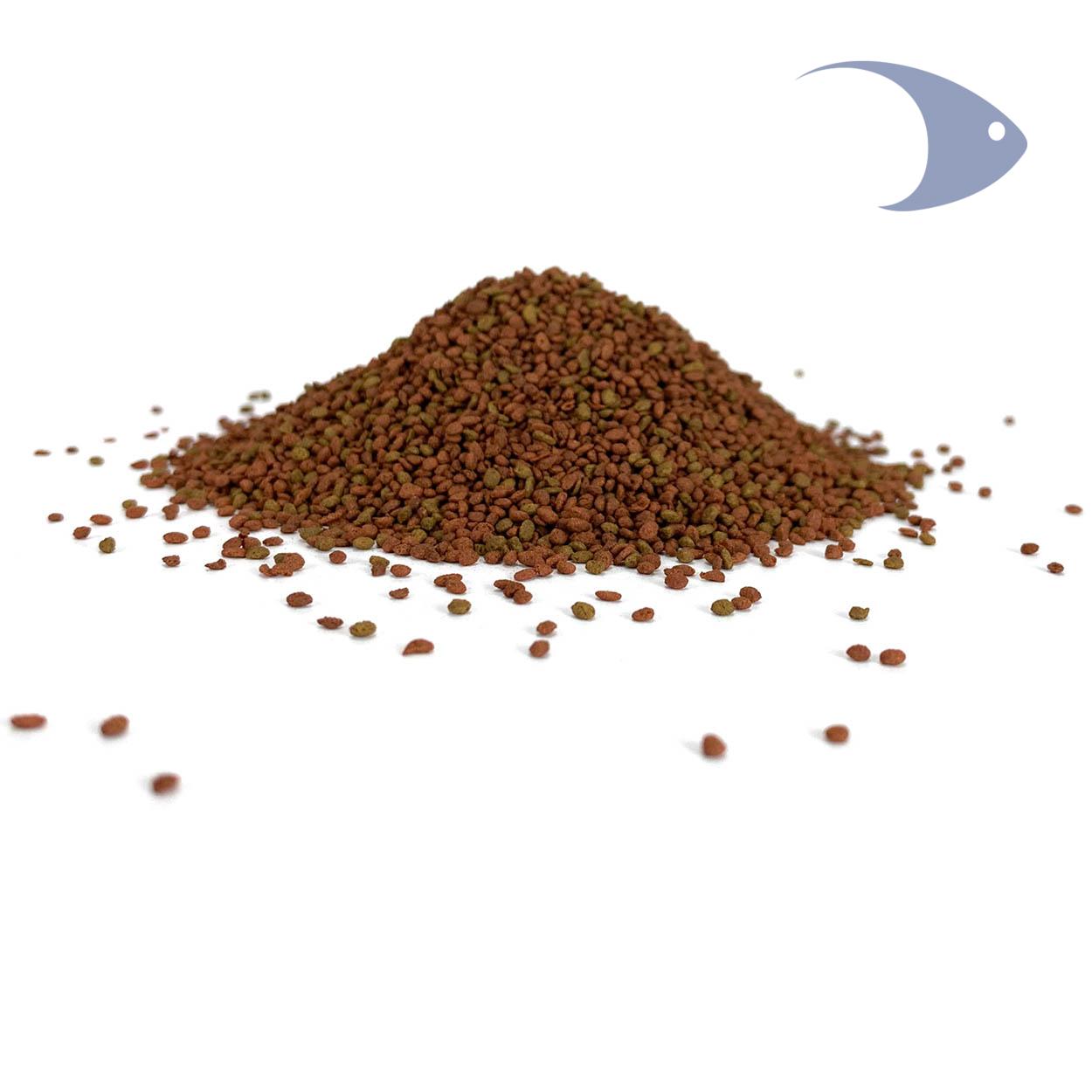 AZOO 9 in 1 Dwarf Cichlid Pellet 4 AZOO 9 in 1 Dwarf Cichlid Pellet - Imagen 4
