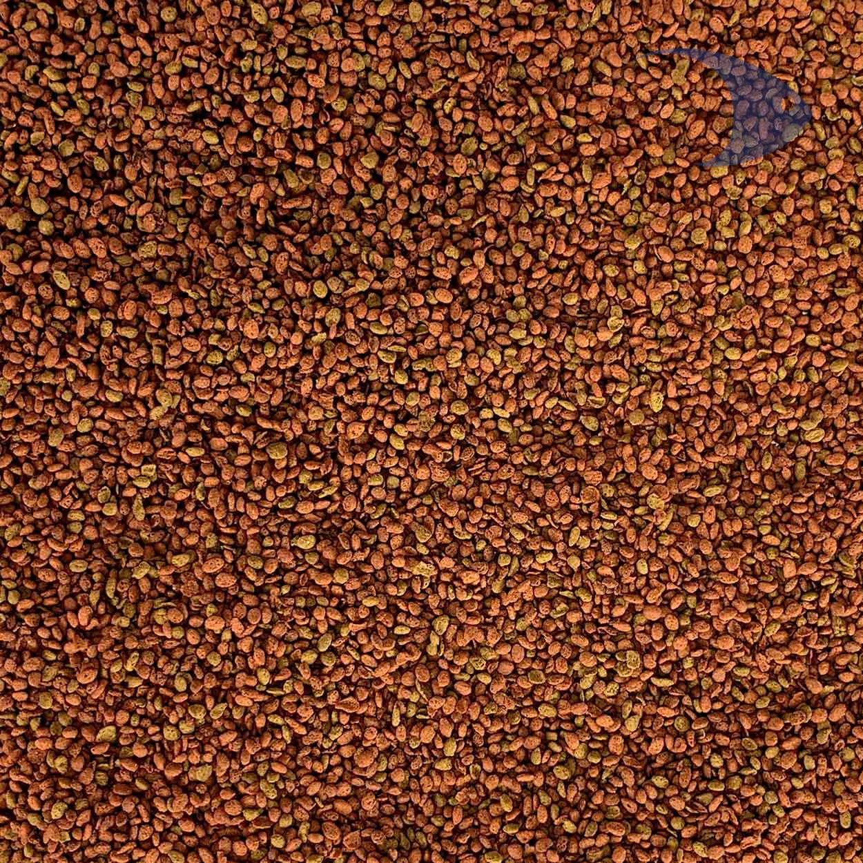 AZOO 9 in 1 Dwarf Cichlid Pellet 5 AZOO 9 in 1 Dwarf Cichlid Pellet - Imagen 5
