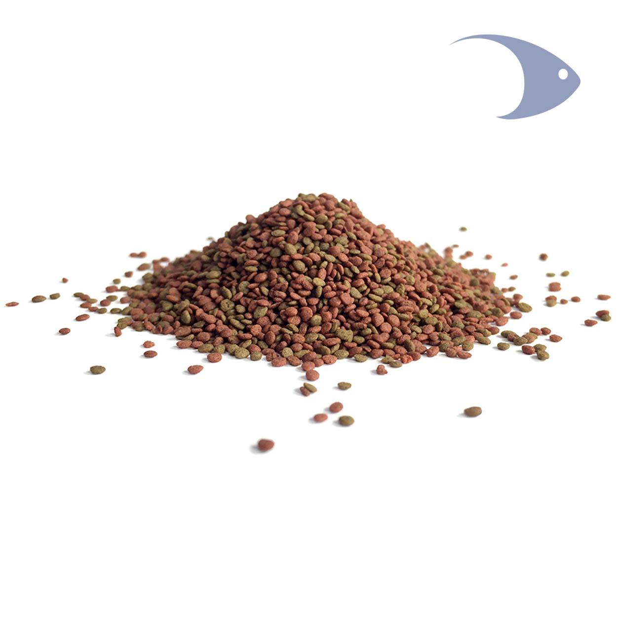 AZOO 9 in 1 Marine Fish Pellet 4 AZOO 9 in 1 Marine Fish Pellet - Imagen 4