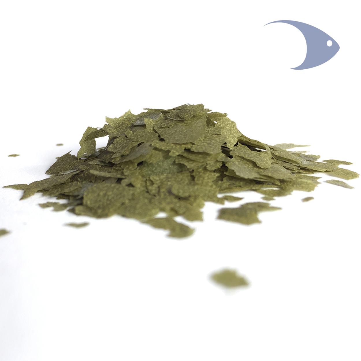 AZOO 9 in 1 Spirulina Flake 4 AZOO 9 in 1 Spirulina Flake - Imagen 4
