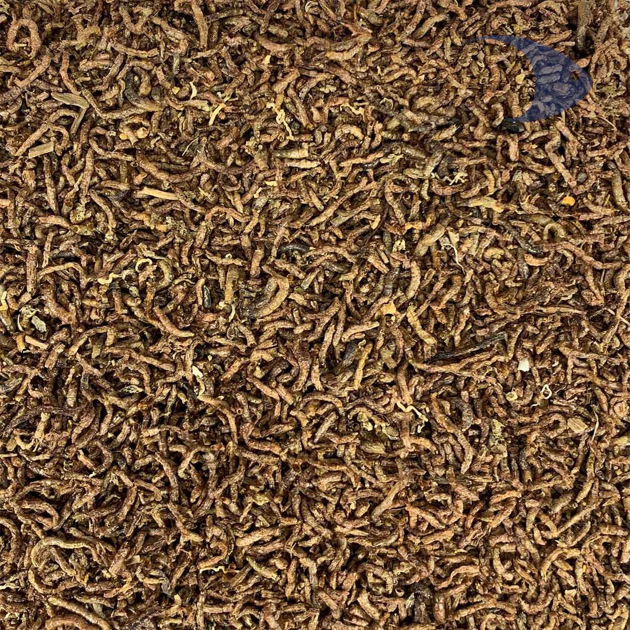 AZOO Blood Worm 5 AZOO Blood Worm - Imagen 5