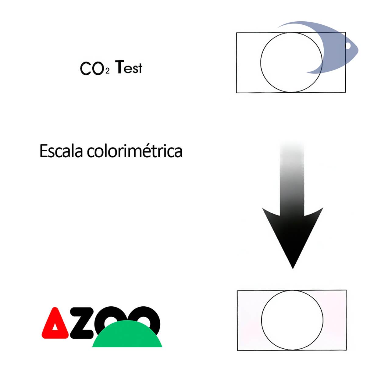 AZOO CO2 Test 4 AZOO CO2 Test - Imagen 4