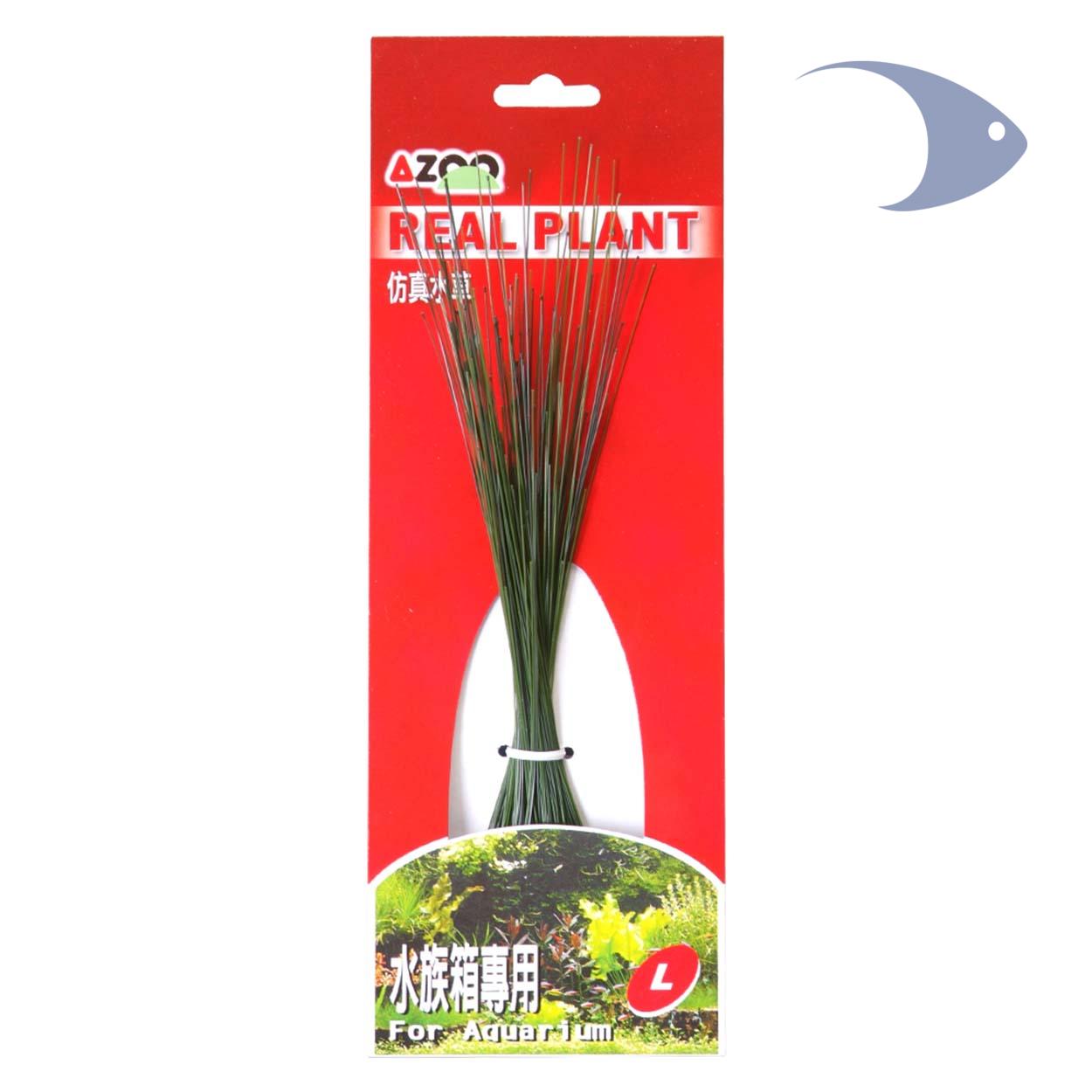 AZOO Real Plants 4 AZOO Real Plants - Imagen 4