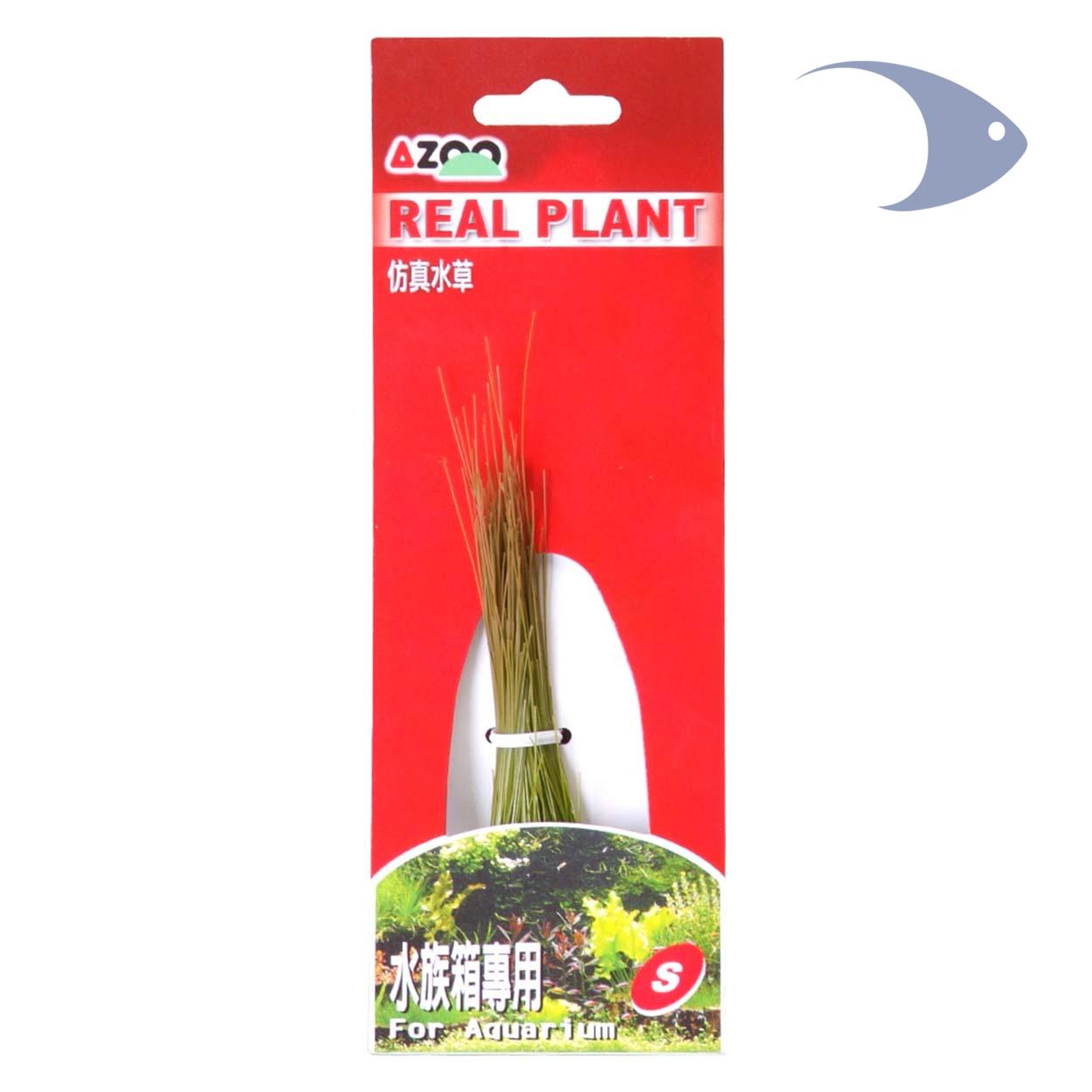 AZOO Real Plants 2 AZOO Real Plants - Imagen 2