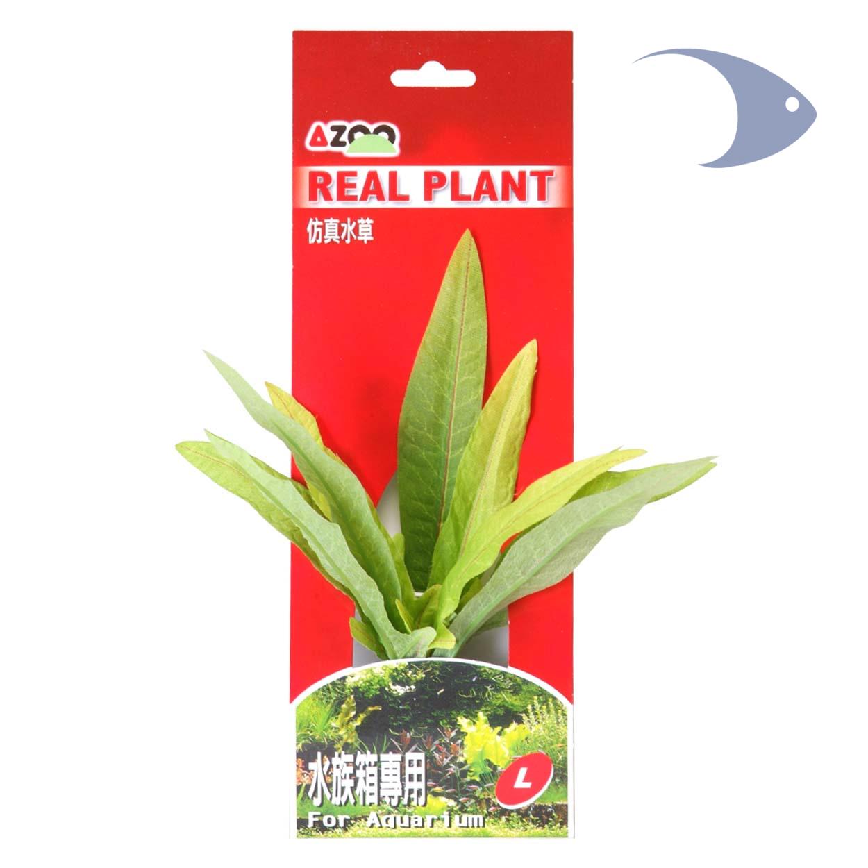 AZOO Real Plants 5 AZOO Real Plants - Imagen 5