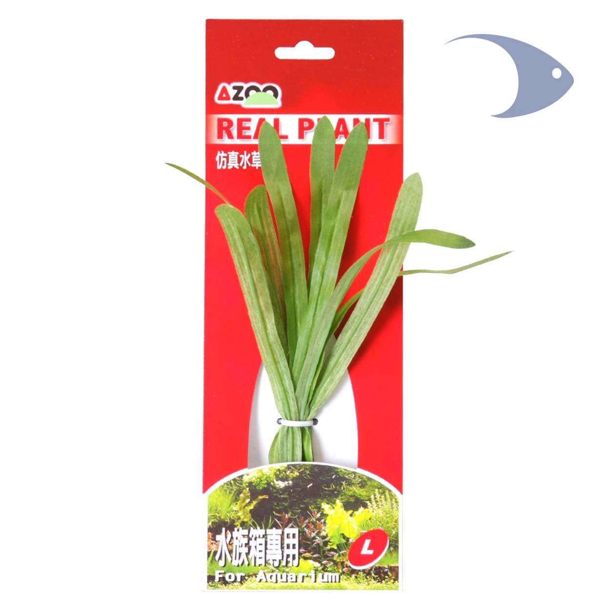 AZOO Real Plants 6 AZOO Real Plants - Imagen 6