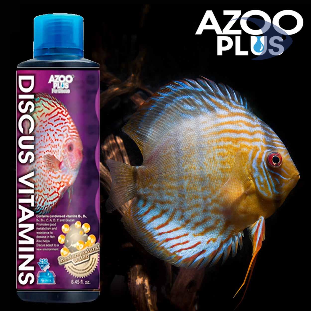 Discus Vitamins 3 Discus Vitamins - Imagen 3