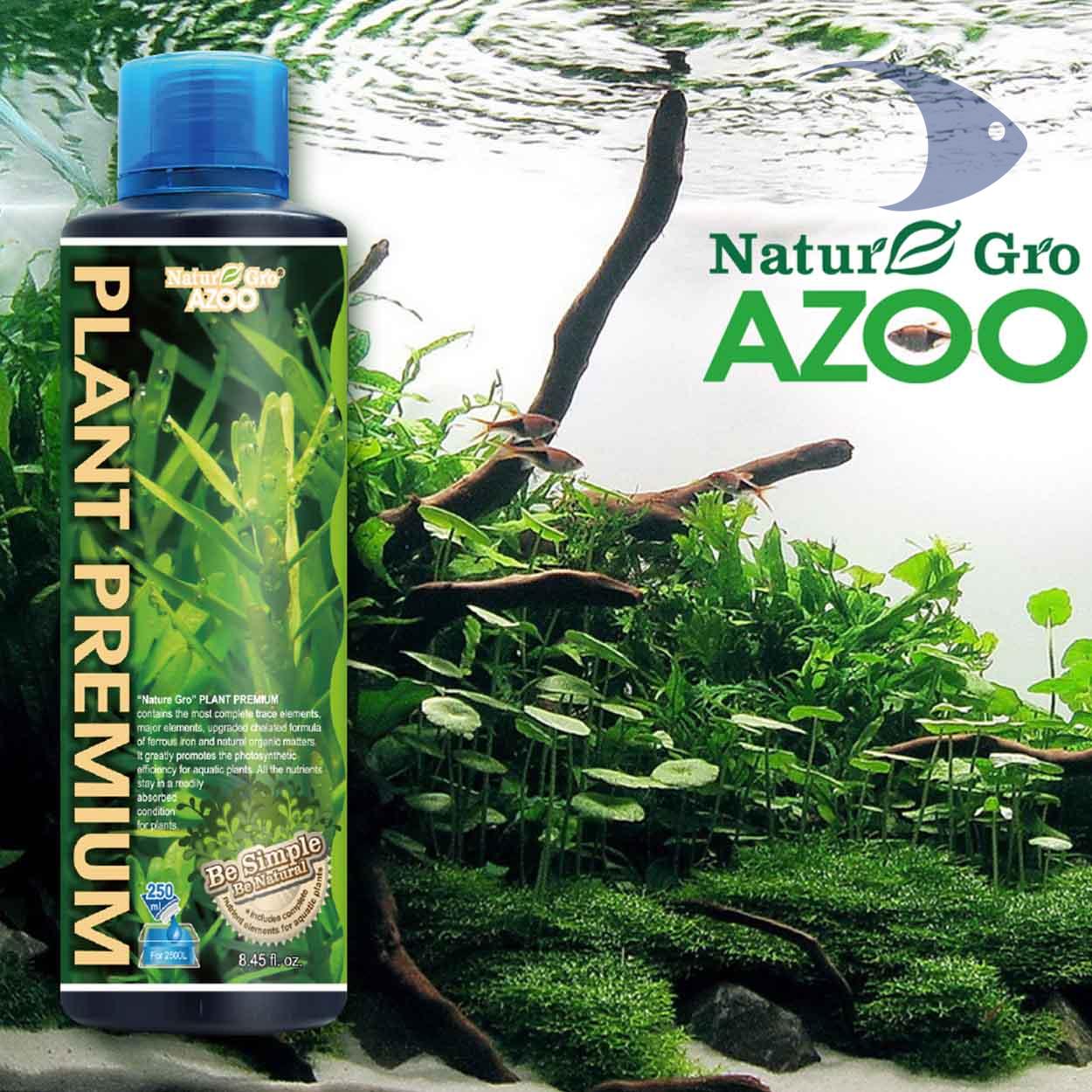 Plant Premium 3 Plant Premium - Imagen 3