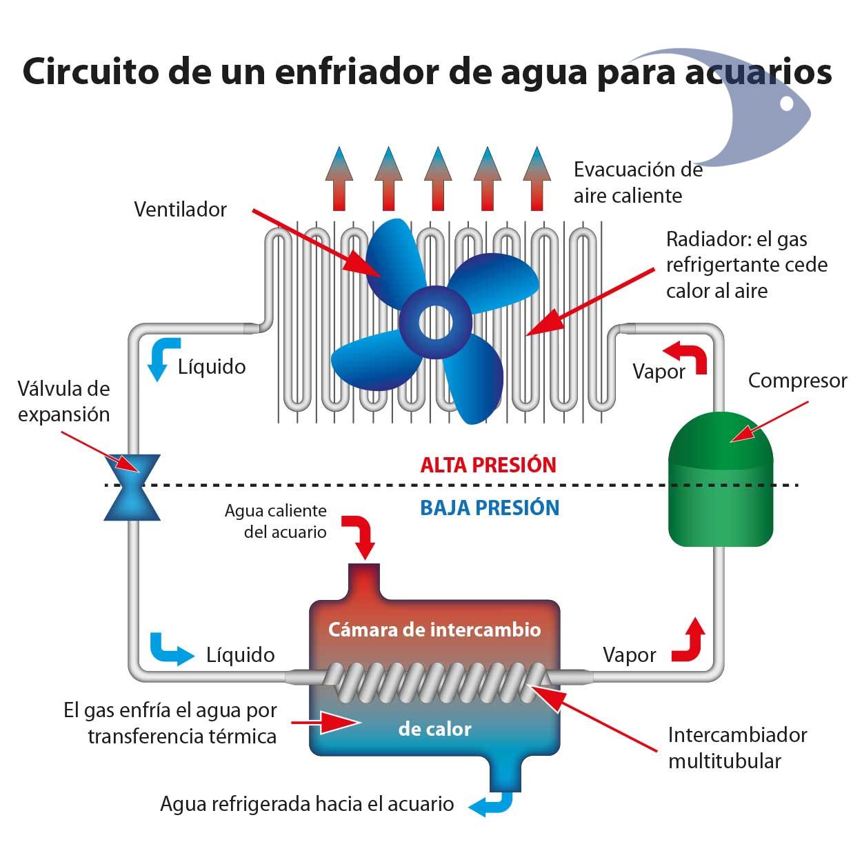 Enfriadores BOYU Serie L 7 Enfriadores BOYU Serie L - Imagen 7
