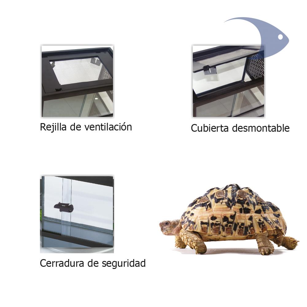 Terrarios BOYU Serie CWG 3 Terrarios BOYU Serie CWG - Imagen 3