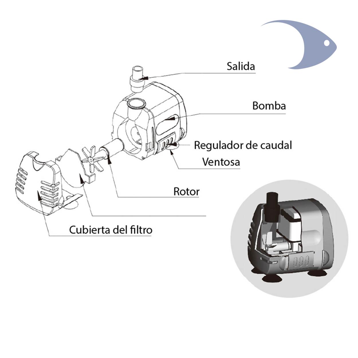 Bomba de agua Compacta BOYU SP 500 2 Bomba de agua Compacta BOYU SP 500 - Imagen 2