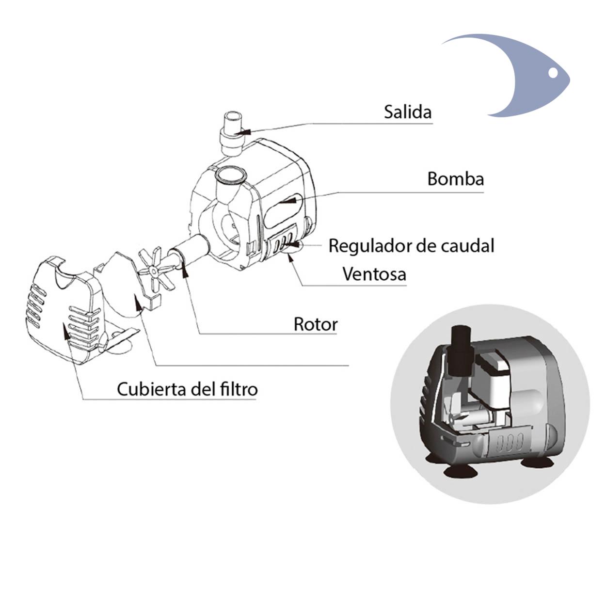 Bomba de agua Compacta BOYU SP 601 2 Bomba de agua Compacta BOYU SP 601 - Imagen 2