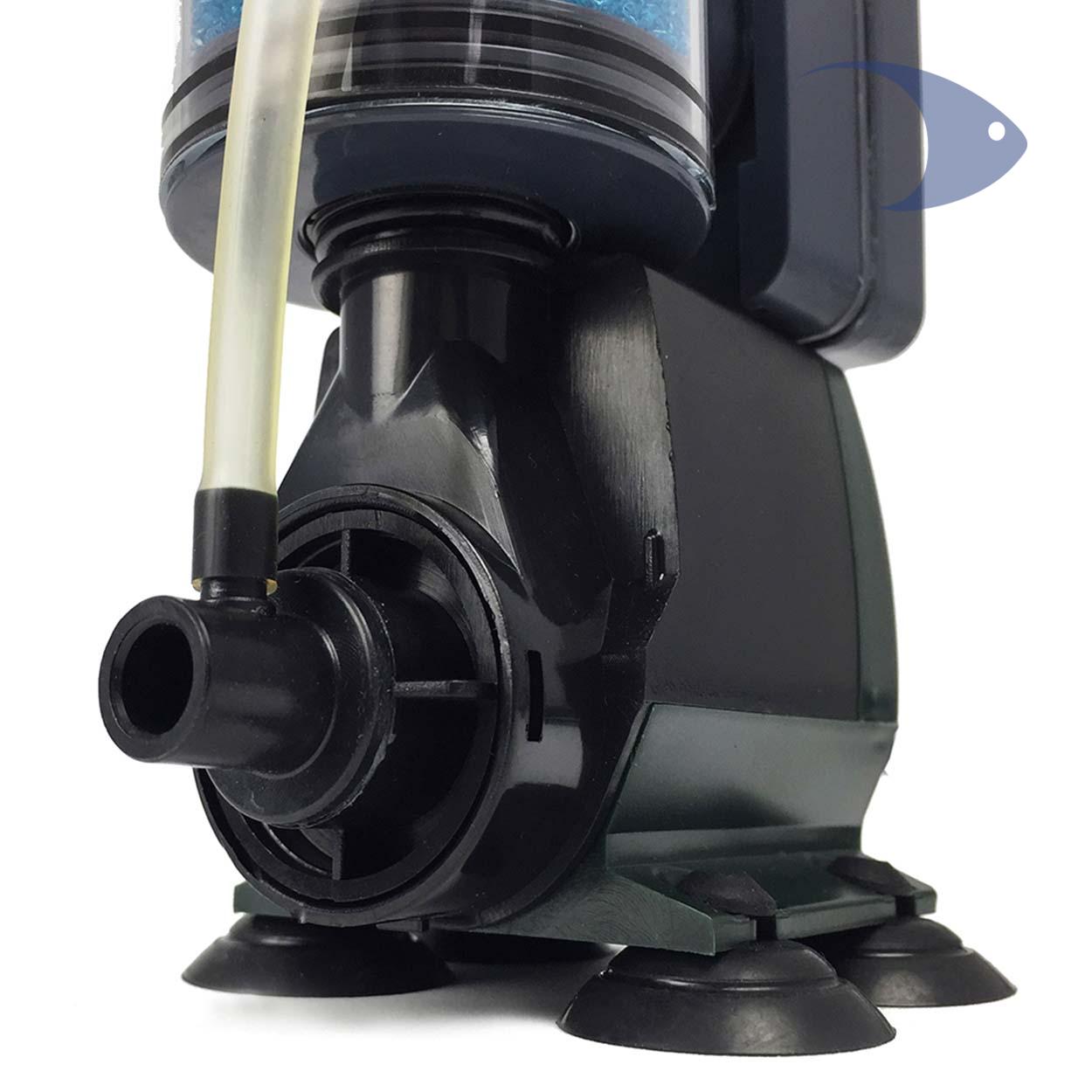 Espumador de proteínas WG 318 A 3 Espumador de proteínas WG 318 A - Imagen 3